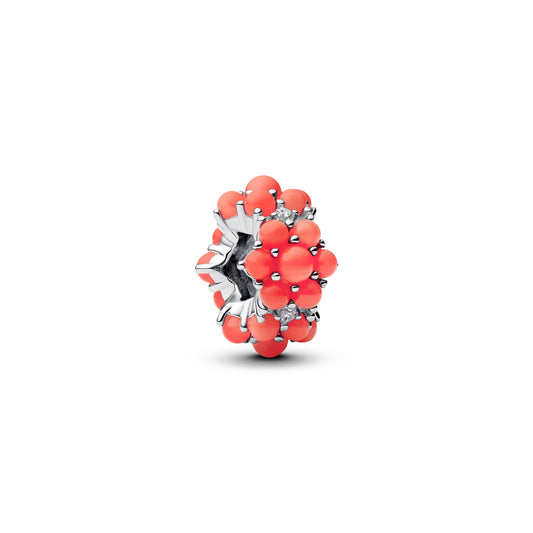 Coral-colored Ocean Charm